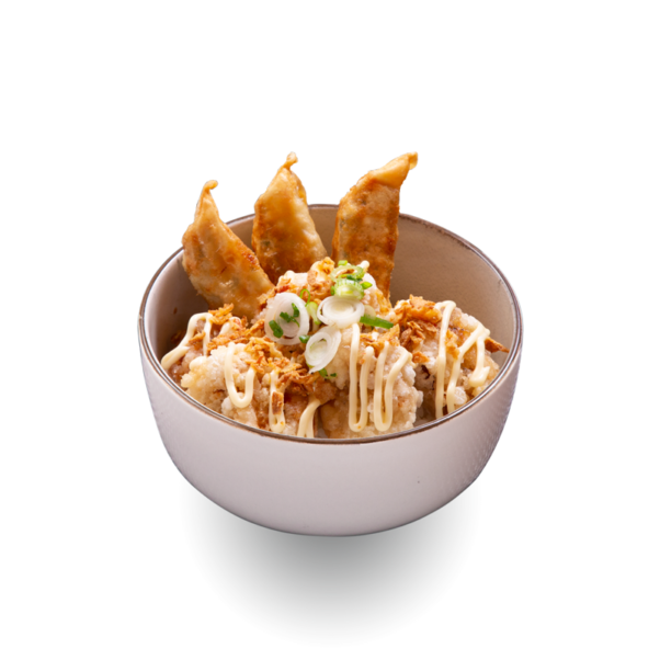 22. Karaage Gyoza Don